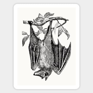 Upside Down Bat Magnet